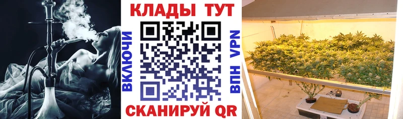 Где купить наркоту Оленегорск КОКАИН  Меф мяу мяу  Канабис 