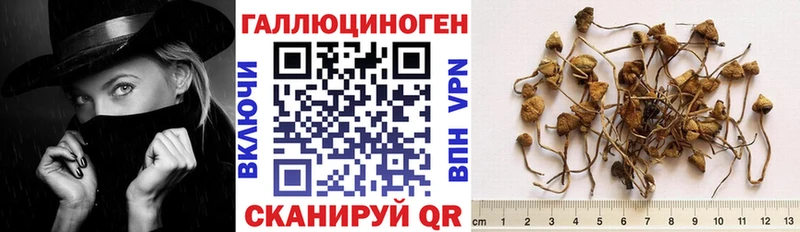 площадка наркотические препараты  Оленегорск  Псилоцибиновые грибы мицелий  купить наркотики цена 